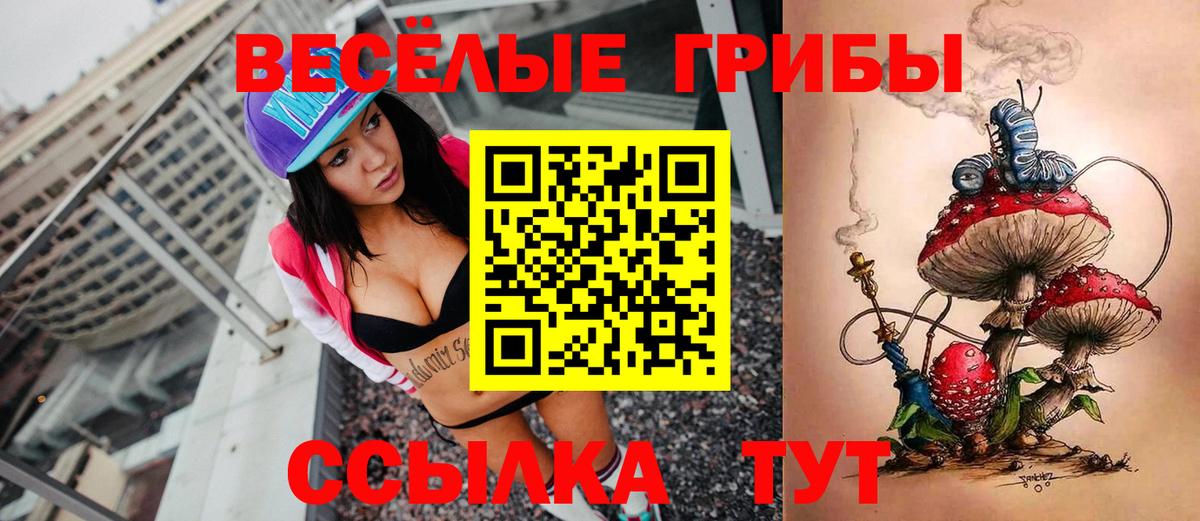 Псилоцибиновые грибы мухоморы  Псилоцибиновые грибы GOLDEN TEACHER  Вход с VPN  Курганинск 